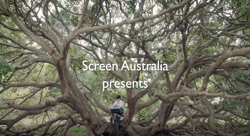 Amazing Grace Series 2